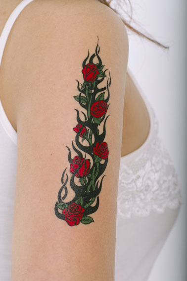 �^�g�D�[�V�[���@���K�N���z