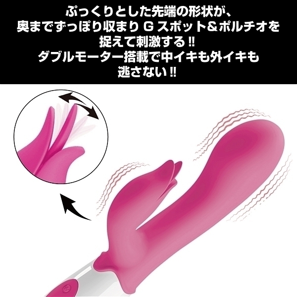 �v���e�B���u�@�i�|���`�I�x�[�V�b�N�}�X�^�[�j