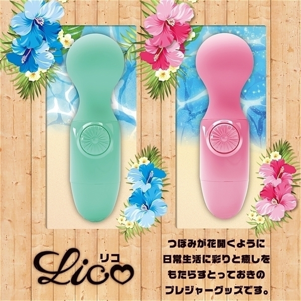 �k�������i���R�j�@�^�[�R�C�Y