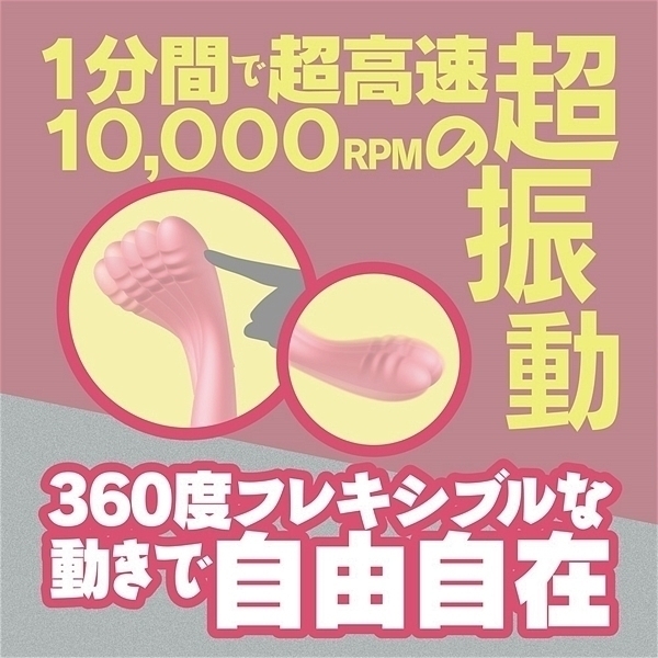 �f���������i�W�[���C�N�j�@�s���N