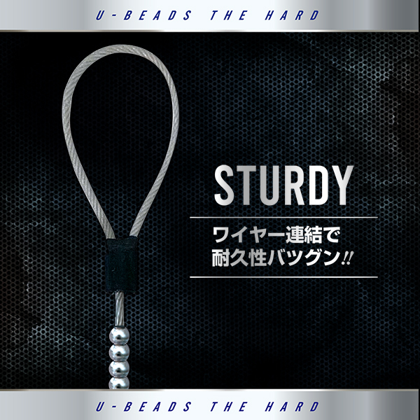 �t�|�r�[�Y�E�U�E�n�[�h�@�i�T�����^�C�v�j