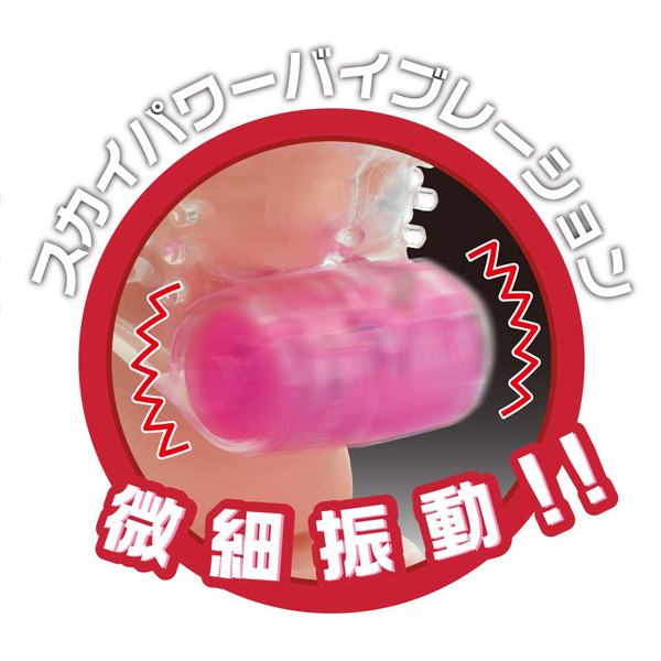 �X�^�[�v���`�i�@�i�f�r���j
