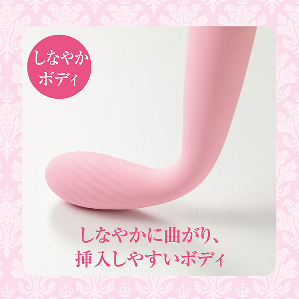 �p���������f���@�r���������@�u�������i�N�C�[���Y�@�X�e�B�b�N�@�o�C�u�j